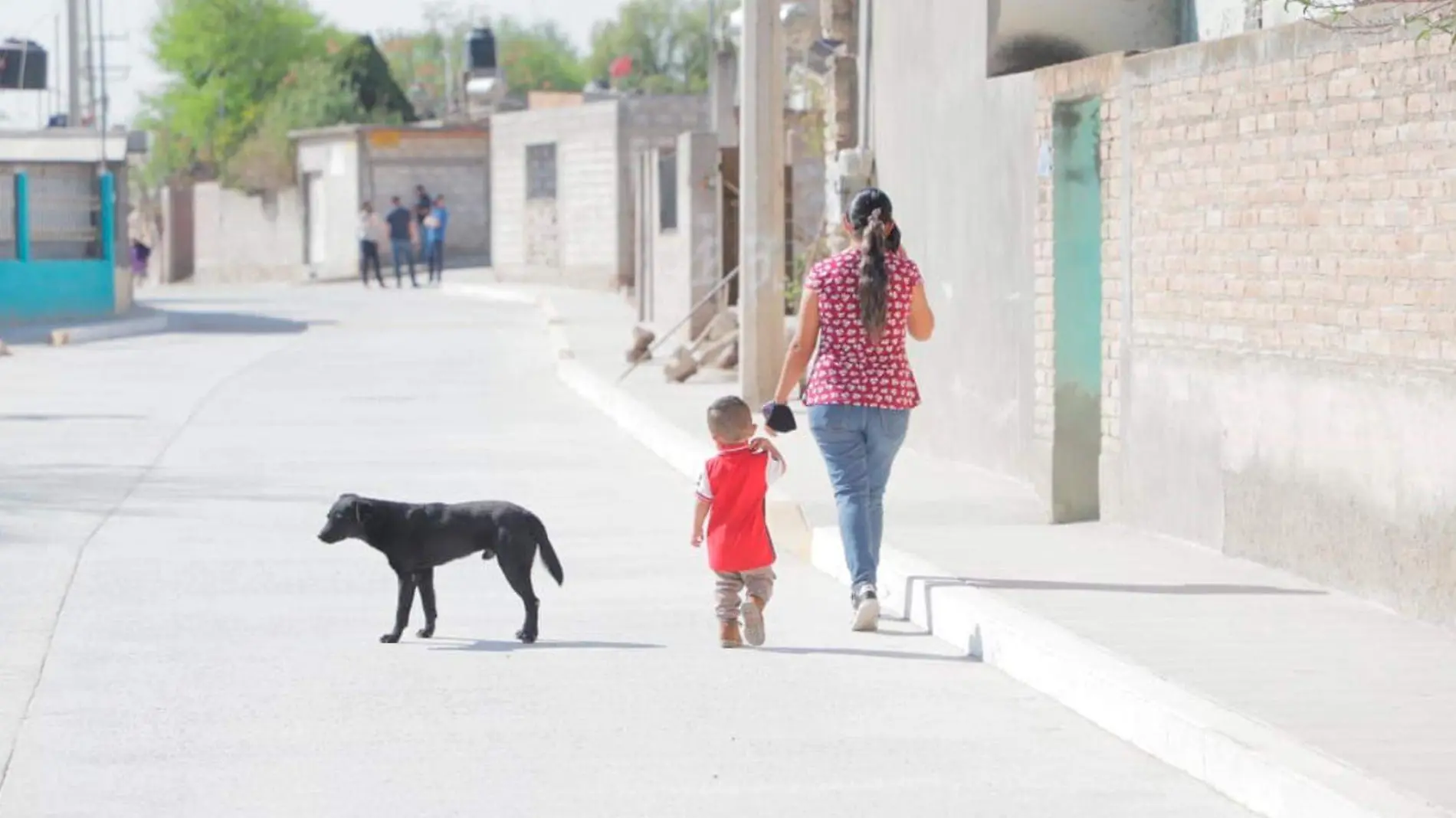 pavimentacion de calles y banquetas